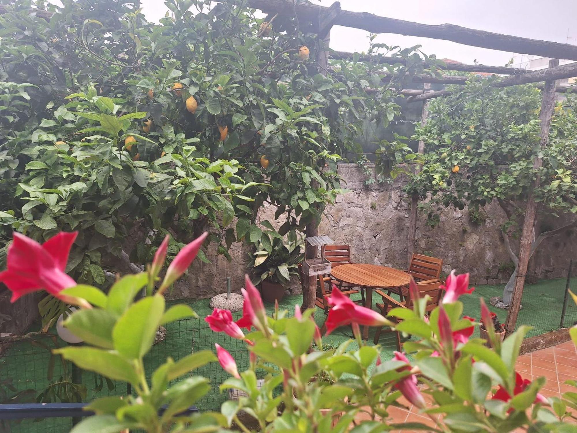 Grazia'S Home Sant'Agnello Exterior foto
