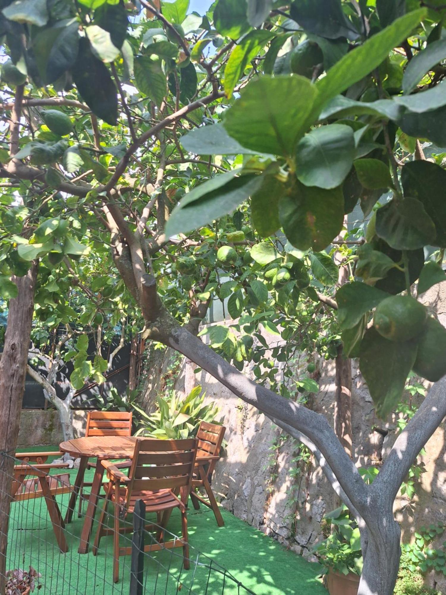 Grazia'S Home Sant'Agnello Exterior foto